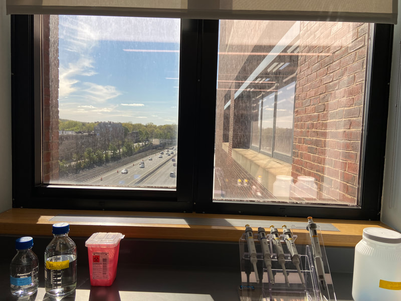 Sunny laboratory window overlooking highway